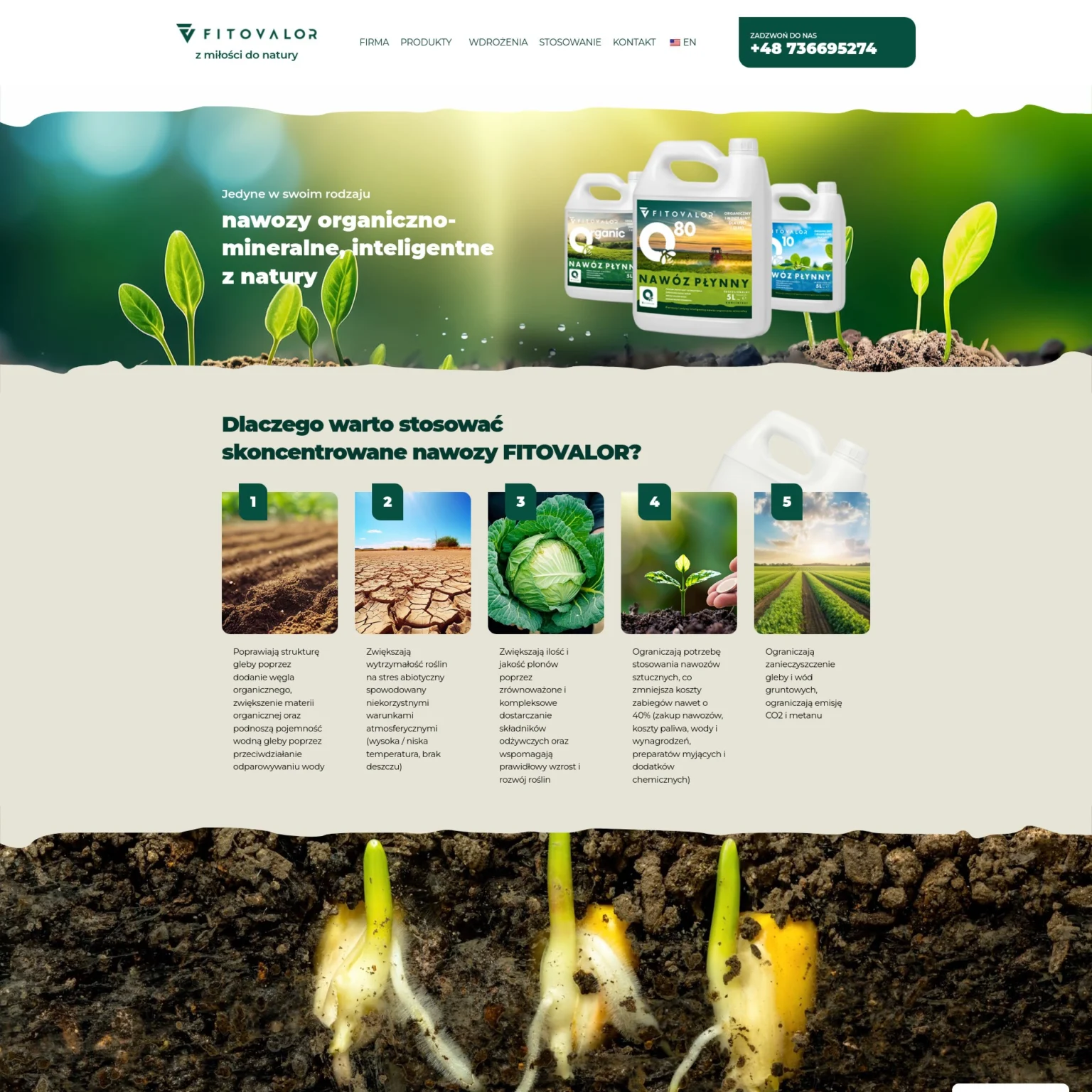 Realizacja strony internetowej fitovalor.pl – Serwis24